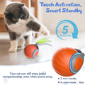 Felinoir™ Interactive Cat Toys