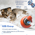 Felinoir™ Interactive Cat Toys